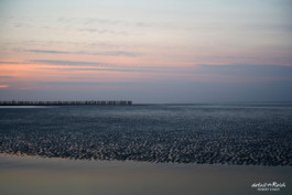 Buhnen am Strand von Wangerooge im Abendlicht