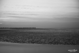 Abendsitiiung am Meer auf Wangerooge schwarz weiß 