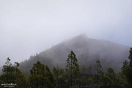 Nebelschwaden an schwarzem Vulkankegel Teneriffa