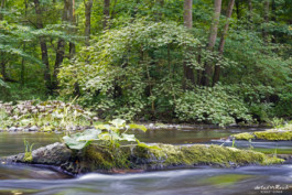 fließendes Wasser im Bodetal Harz bei Langzeitbelichtung mit ND Filter