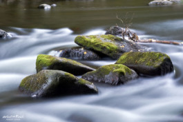 fließendes Wasser im Bodetal Harz bei Langzeitbelichtung mit ND Filter