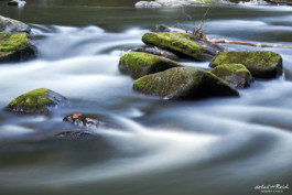 fließendes Wasser im Bodetal Harz bei Langzeitbelichtung mit ND Filter