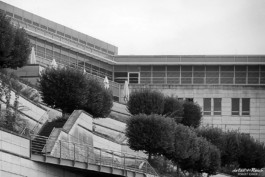 Dachgarten auf Gebäudeterassen in Dresden schwarz weiß