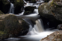 Langzeitbelichtung in der Ravennaschlucht Schwarzwald