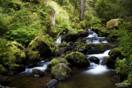 Langzeitbelichtung in der Ravennaschlucht Schwarzwald