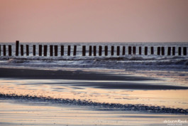 Abendstimmung mit Buhnen auf Wangerooge