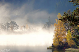 Nebel im Sonnenschein über dem Wildsee bei Seefeld Tirol Alpen