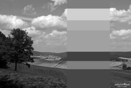 Farbstreifen Sommerlandschaft Solling in schwarz weiß 