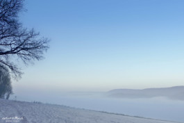 Nebel im Tal Spätwinter bei Alfeld