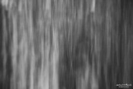 Schwarz-weiß Darstellung von Herbstlaub in Langzeitbelichtung 