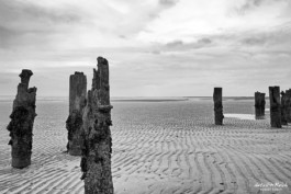 interessante Funde am Strand von Wangerooge