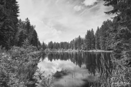 gute Fotos von Stadt, Land und Fluss